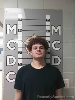 Booking photo from Madison County, Kentucky