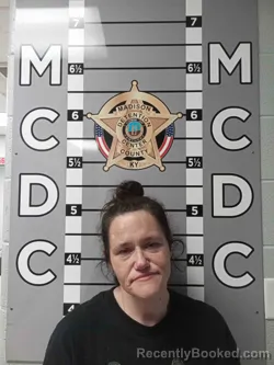 Mugshot of LINDSAY GAY