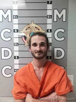 Mugshot of PERRY WILLIAMS