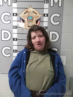 Mugshot of STEPHANIE ARNOLD