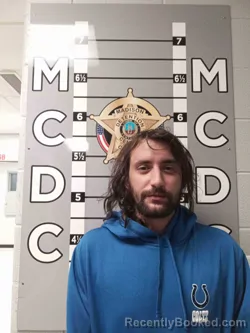 Mugshot of BRANDON ROE