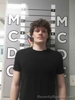 Mugshot of TYLER BERGMANS