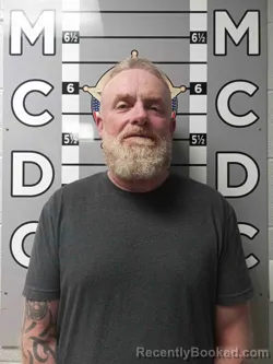 Mugshot of DAVID LAKES
