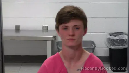 Mugshot of ASHLEY C HOLLAND