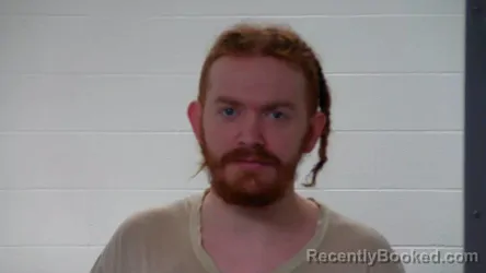 Mugshot of DOMINIC ALAN BERTH