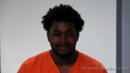 Mugshot of MICHAEL RAILEY