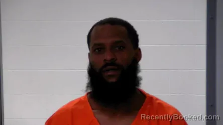 Mugshot of LASHANN . TONGE