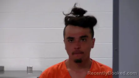 Mugshot of DILLIN T HERNANDEZ