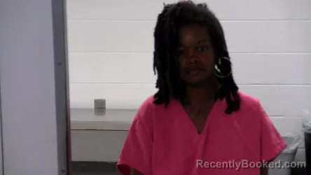 Mugshot of Ann Nicole Bickett