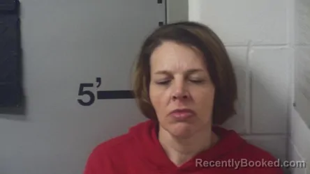 Mugshot of AMANDA R MCKENZIE