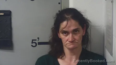 Mugshot of JENNIFER R FULTZ