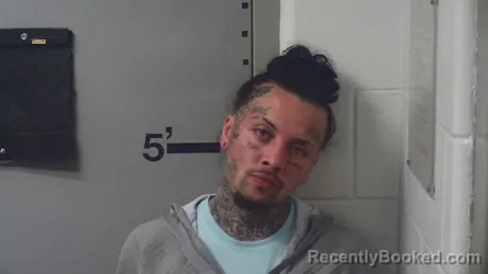 Mugshot of JEREMY DILLON INSKO