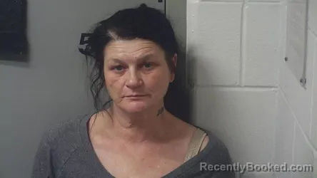 Mugshot of MINDY MARIE ERSKINE