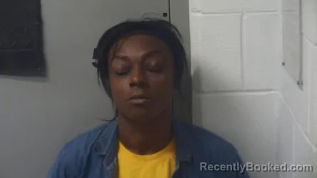 Mugshot of NELLSHIDA R BROOKS