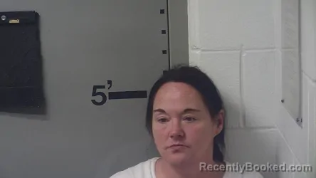 Mugshot of PEGGY A LEWIS