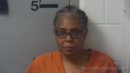 Mugshot of RITA LYNN LANG