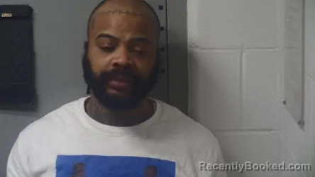 Mugshot of TROY D SLATER