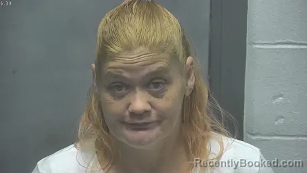 Mugshot of BETH ANN NEWMAN