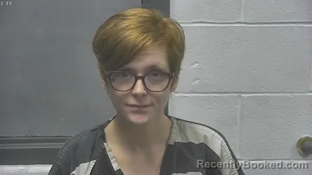 Mugshot of BRITTANY TESSA RENE VANWINKLE - RALEY booked in Meade County, Kentucky on April 22, 2026