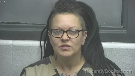 Mugshot of CHRISTINA MARIE FISHER