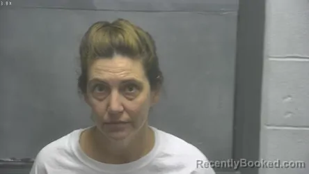 Mugshot of ERICA FAYE AUSTIN