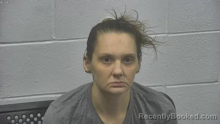 Mugshot of ELIZABETH A RITCHIE