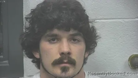 Mugshot of TRISTAN RENO MCCAMISH