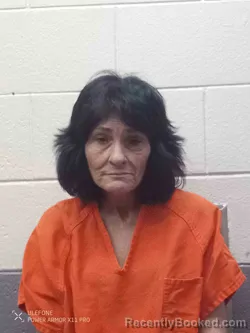 Mugshot of Kathy Dunn booked in Montgomery County, Kentucky on July 27, 2026