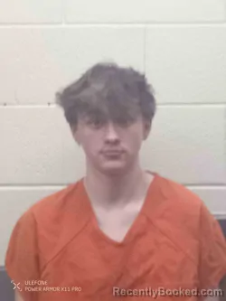 Mugshot of ADRIAN NELSON booked in Montgomery County, Kentucky on March 11, 2026