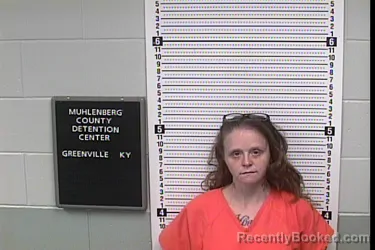 Mugshot of BRANDY MICHELLE PHELPS