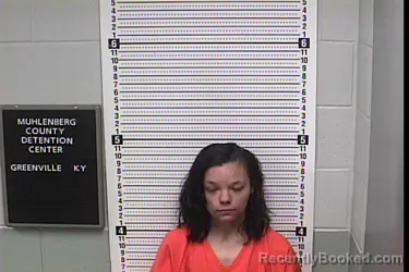 Mugshot of MEAGON DANIELLE HARDY
