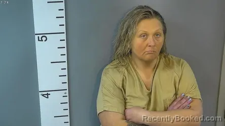 Mugshot of AMANDA LUCILLE LANHAM