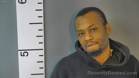 Mugshot of BRAD LAVELL MIMS
