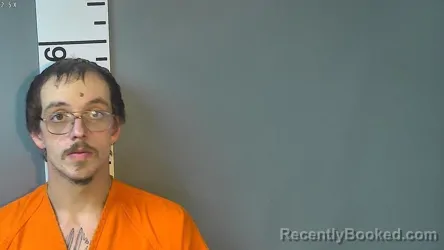 Mugshot of BRANDON MICHAEL WILLIAMS