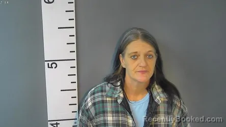 Mugshot of CRYSTAL LYNN PRUITT