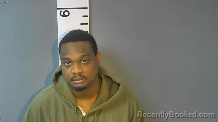 Mugshot of DAMON LAMONT SHECKLES