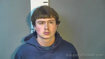 Booking photo from Nelson County, Kentucky