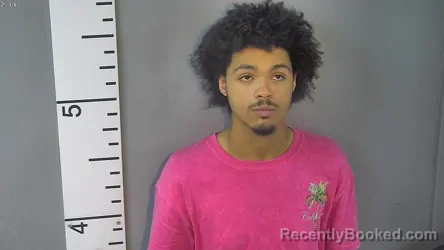 Mugshot of ETHAN MITCHELL LIUZZI booked in Nelson County, Kentucky on July 11, 2026