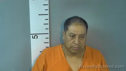 Mugshot of ELIAS SERMONA PEREZ booked in Nelson County, Kentucky on August 2, 2026