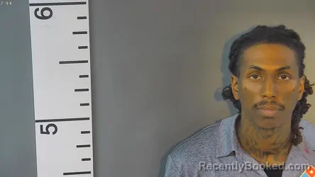 Mugshot of JIMMY KWON JOHNSON