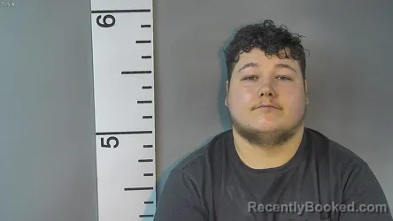 Mugshot of JONATHAN ALLEN WINKLER booked in Nelson County, Kentucky on June 26, 2026