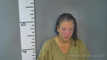 Mugshot of MISTY DAWN WILLIAMS booked in Nelson County, Kentucky on July 15, 2026