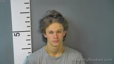 Mugshot of TOBY LEE CURTSINGER