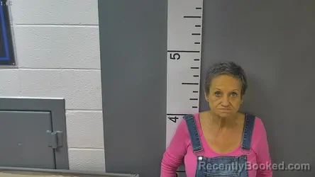 Mugshot of TINA MICHELLE COX