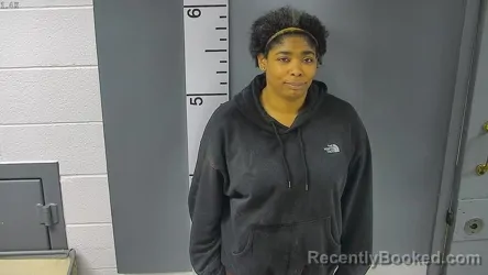 Mugshot of TAMIKA SHANELLE MITCHELL