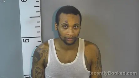 Mugshot of Tevin Deonte Williams booked in Nelson County, Kentucky on August 27, 2026