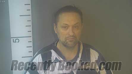 Booking photo from Nelson County, Kentucky