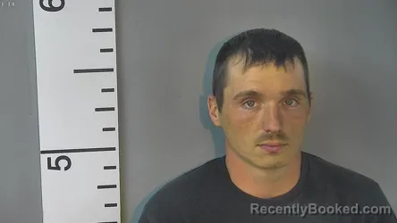 Mugshot of WILLIAM TYLER SHEPHERD booked in Nelson County, Kentucky on May 11, 2026