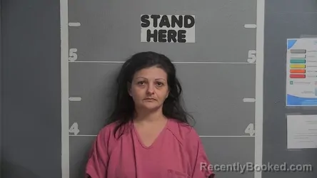 Mugshot of AMBER ANN FULKERSON