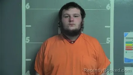 Mugshot of AUSTIN D GREER